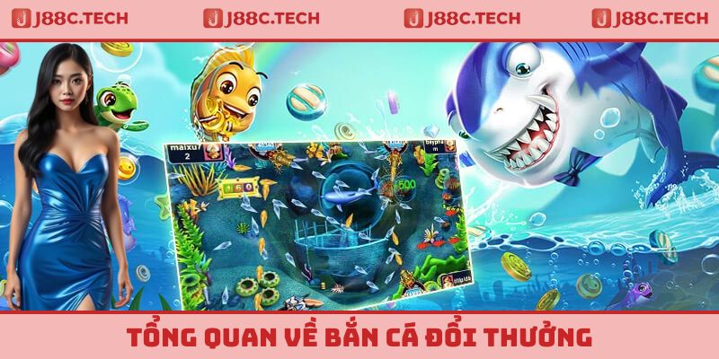 Tổng quan một vài thông tin cơ bản cần nắm được về bắn cá đổi thưởng