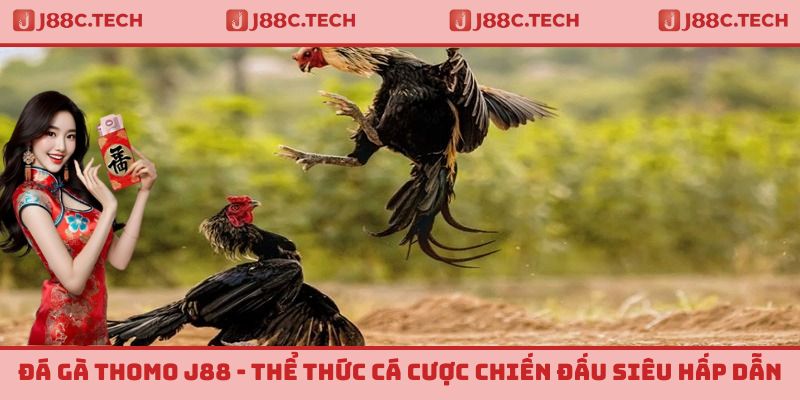 Đá Gà Thomo J88 - Thể Thức Cá Cược Chiến Đấu Siêu Hấp Dẫn
