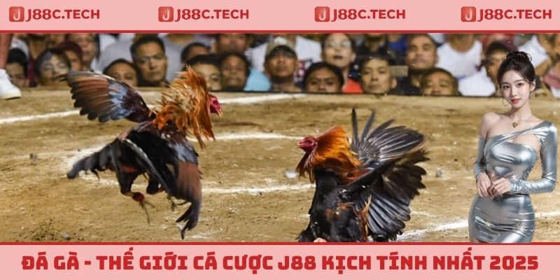 Đá Gà - Thế Giới Cá Cược J88 Kịch Tính Phù Hợp Nhất 2025
