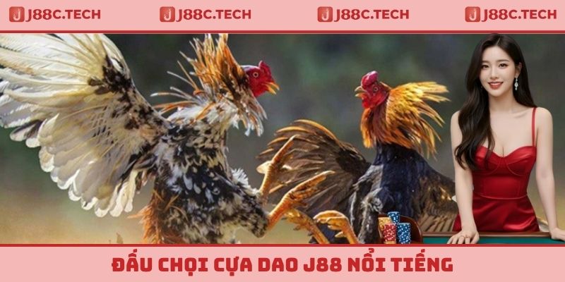 Đấu chọi cựa dao J88 nổi tiếng
