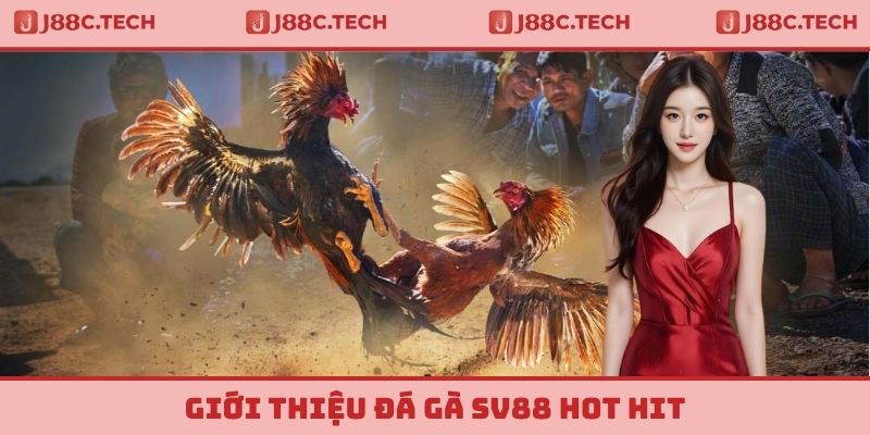 Giới thiệu đá gà SV88 hot hit