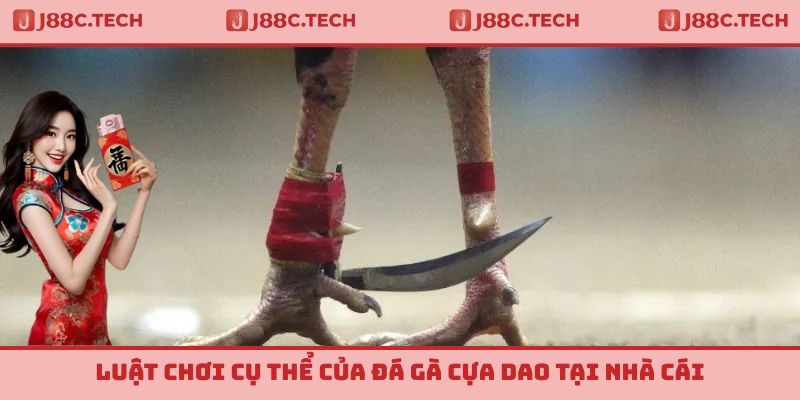 Luật chơi cụ thể của đá gà cựa dao tại nhà cái
