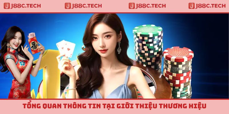 Tổng quan thông tin tại giới thiệu thương hiệu