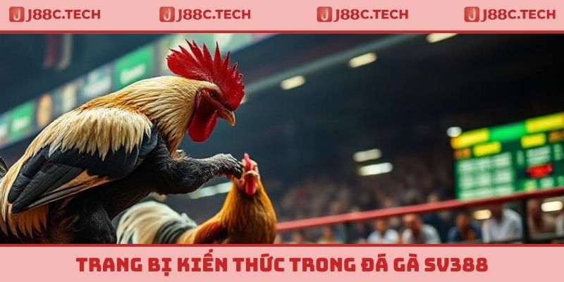 Trang bị kiến thức trong đá gà SV388